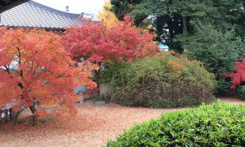 幻住庵 一般墓地・永代供養墓 