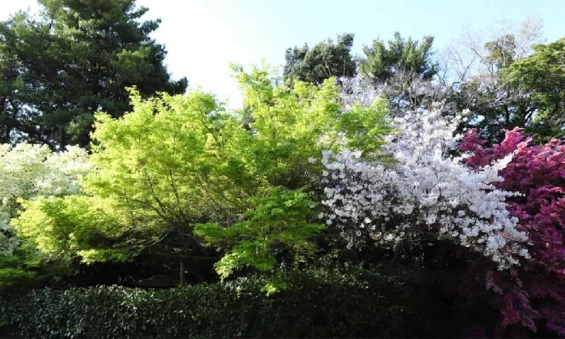 幻住庵 一般墓地・永代供養墓 