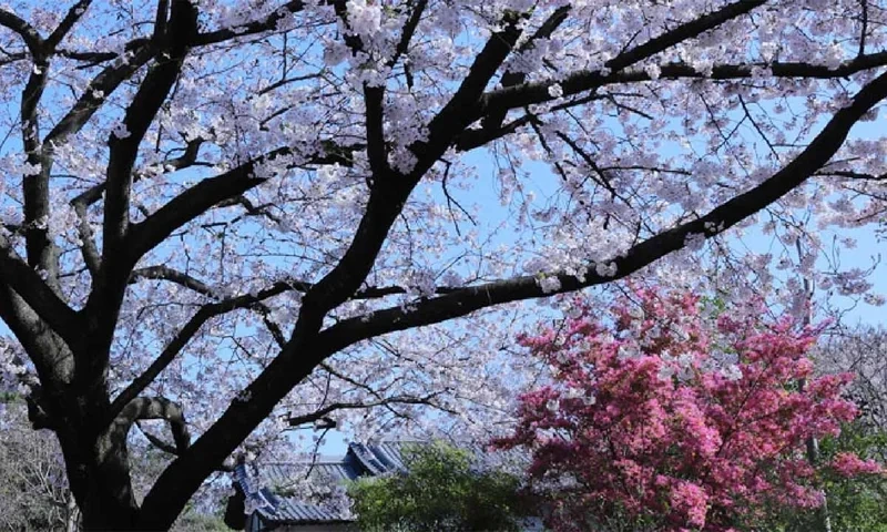 幻住庵 一般墓地・永代供養墓 