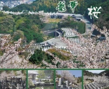 大野城市 大野城 龍華霊園