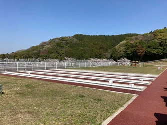 緑豊かな百合ヶ丘霊園