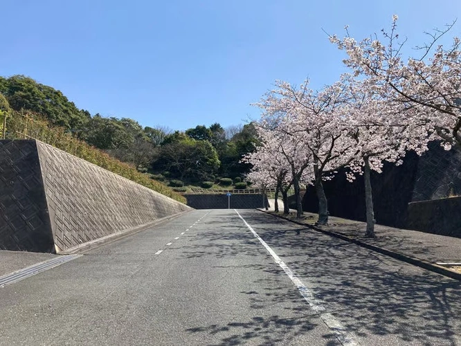 百合ヶ丘霊園 