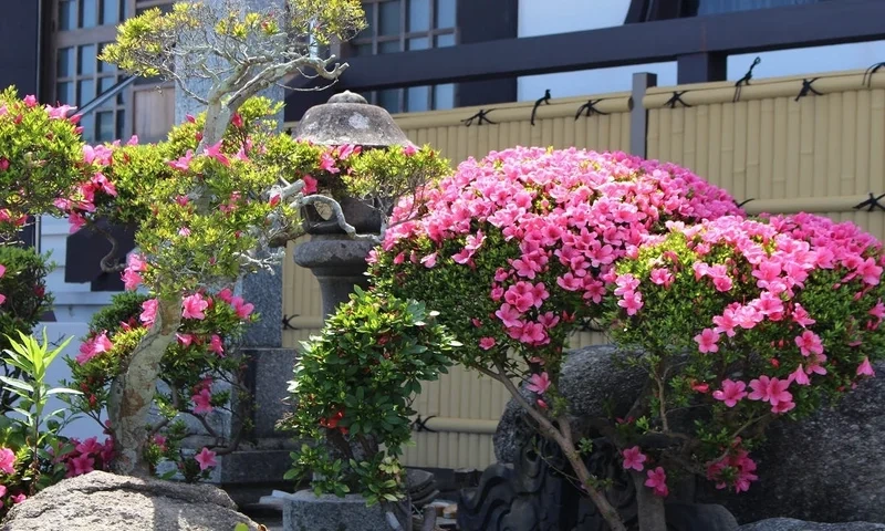 宗像市 宝積寺 永代供養塔