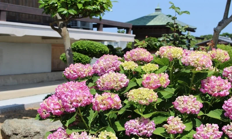 宗像市 宝積寺 永代供養塔