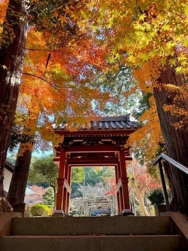 久留米市 正源寺 樹木葬墓地