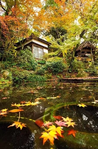 久留米市 正源寺 樹木葬墓地