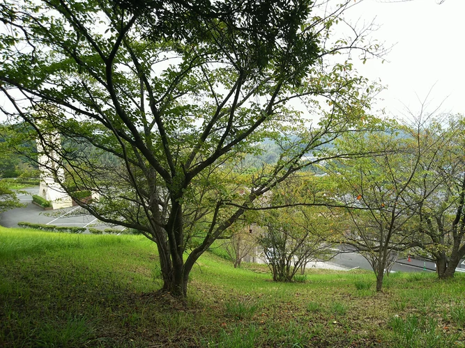 遠賀町営 遠賀霊園 