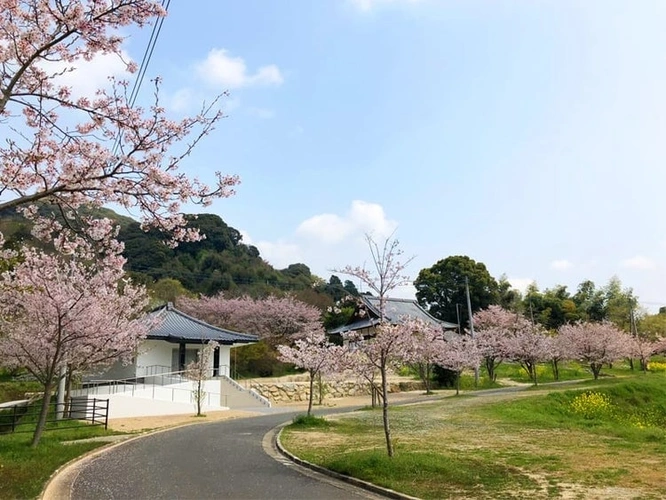 高城寺墓苑 園内風景