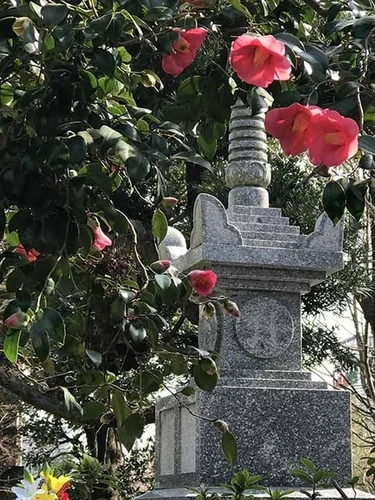 新義真言宗 大本山 誕生院 樹木葬永代供養墓 