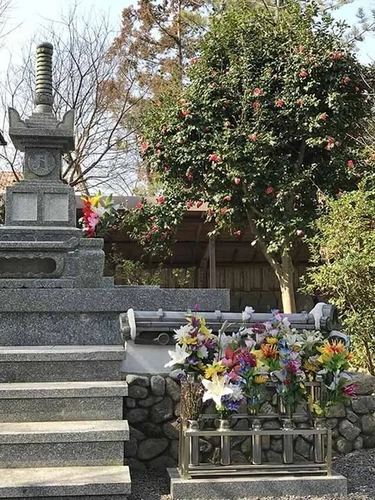 新義真言宗 大本山 誕生院 樹木葬永代供養墓 