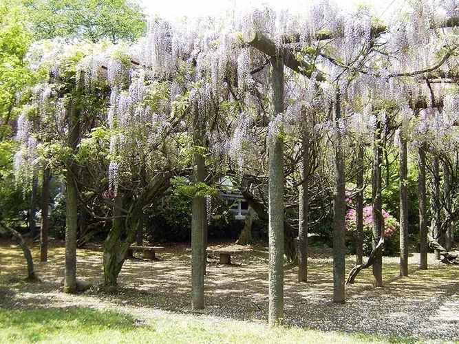 新義真言宗 大本山 誕生院 樹木葬永代供養墓 