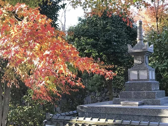 新義真言宗 大本山 誕生院 樹木葬永代供養墓 