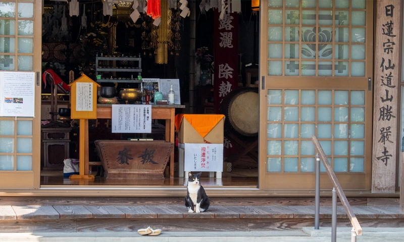 勝嚴寺 永代供養墓・樹木葬 