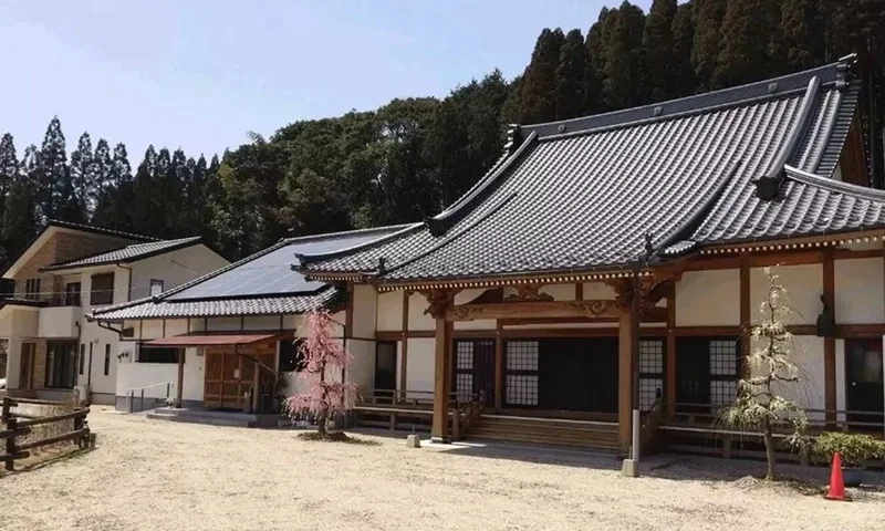  浄徳寺 シャクナゲ御廟