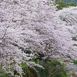 四季の彩りに包まれた静かな環境