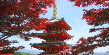 緑豊かな本福寺 永代供養墓・樹木葬