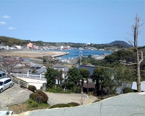 生前申込・入檀義務なしで自由度が高い