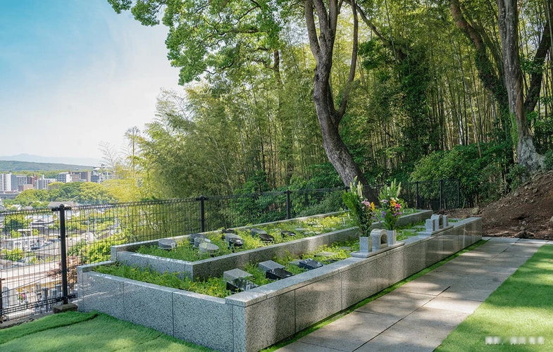 熊本市西区 「愛樹木葬」花岡山天空樹木葬