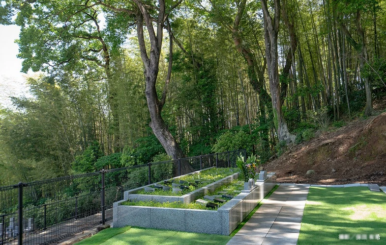 熊本市 「愛樹木葬」花岡山天空樹木葬