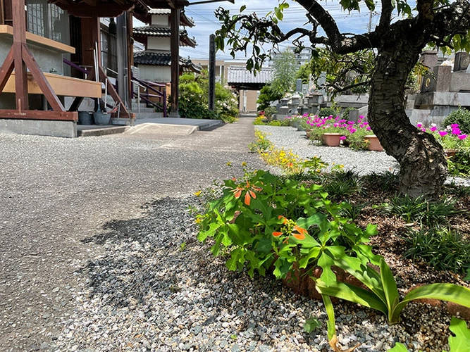 見松寺 のうこつぼ 