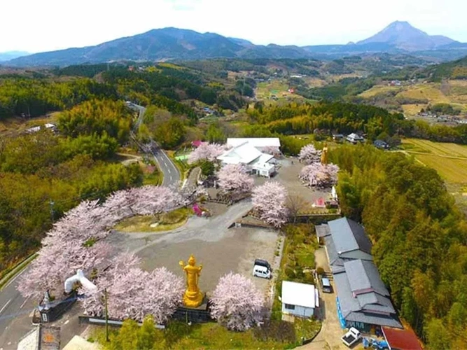 正雲寺 大分別院 納骨堂 