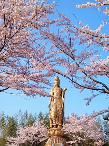  正雲寺 大分別院 納骨堂