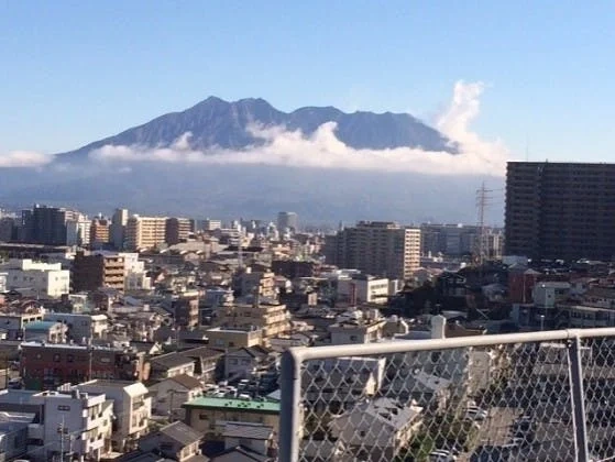 鹿児島市 田上共同墓地管理組合・樹木葬