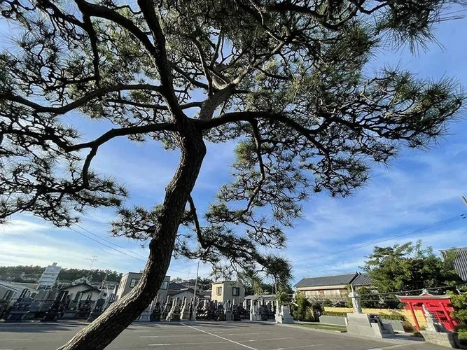 新潟・大仙寺 樹木葬「永樹墓」 