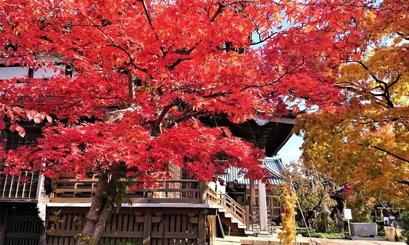 新潟永代供養墓霊園 福王寺 