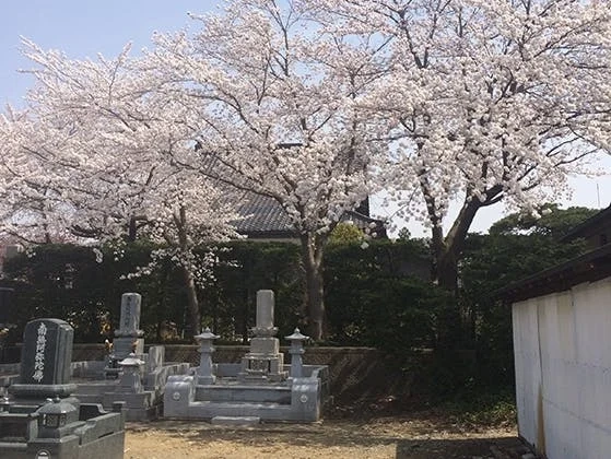 上越市 上越の樹木葬墓苑 はなみずき