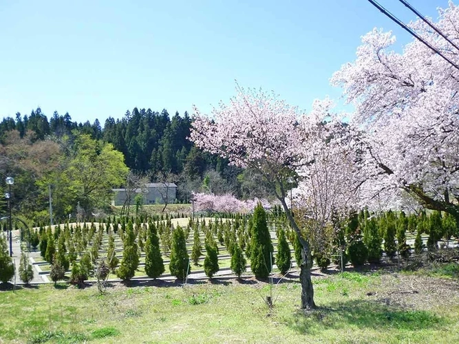 見附やすらぎ霊園 