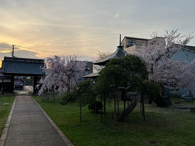 新発田市 宝光寺 のうこつぼ