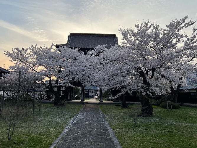 新発田市 宝光寺 のうこつぼ