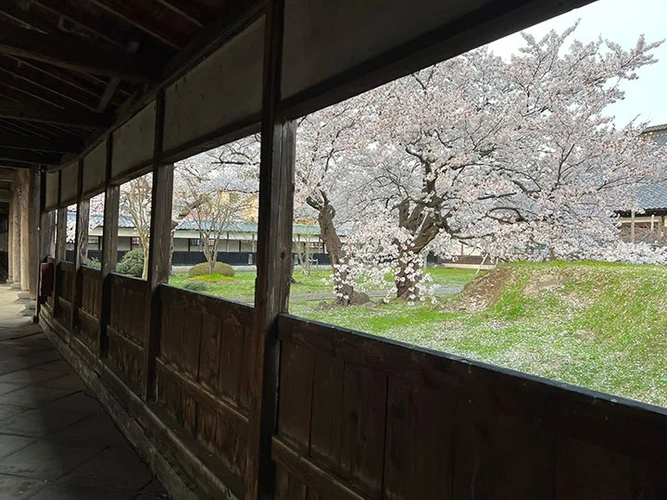 新発田市 宝光寺 のうこつぼ