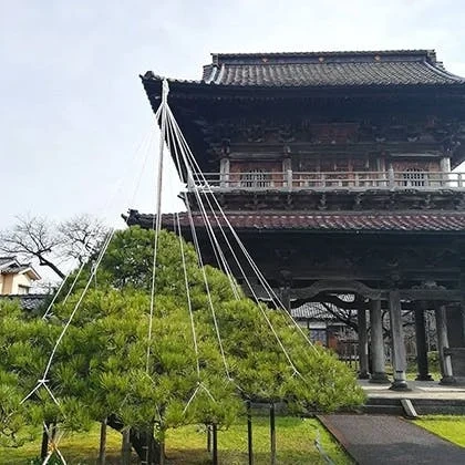 宝光寺 のうこつぼ 