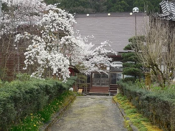 「地蔵様とあじさいの寺」光照寺 