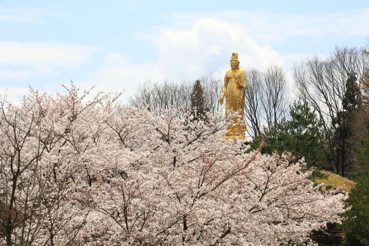 阿賀野市 岩松院 永代供養墓