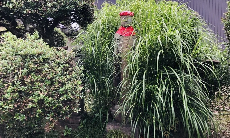 福嚴寺 のうこつぼ 