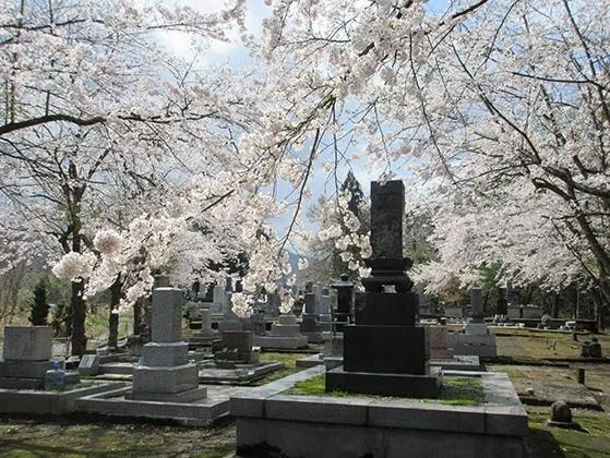 長岡市 百間堤霊園