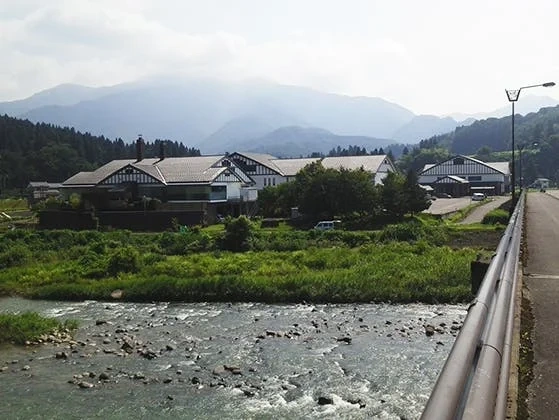 三条市 薬師霊園