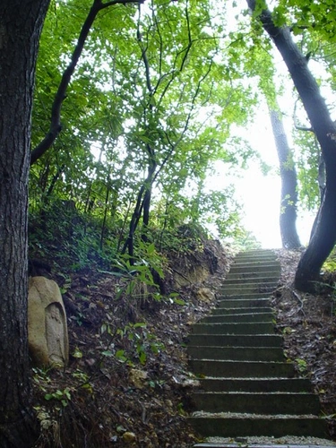 西生寺 天翔園 