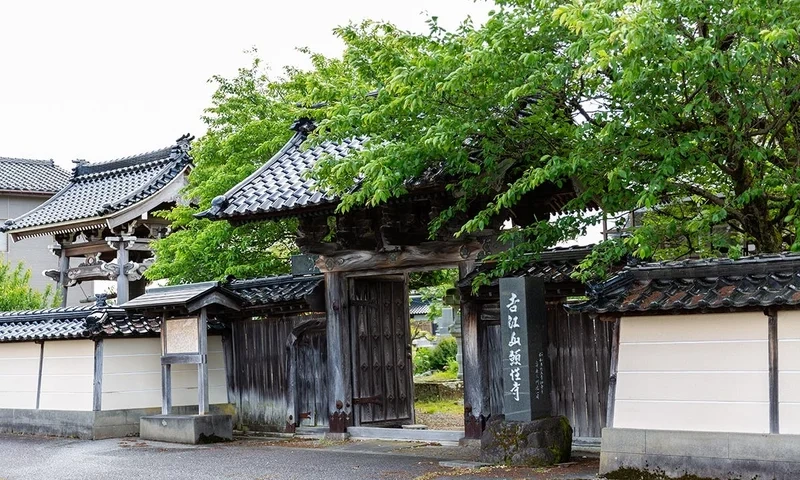 高岡市 願性寺墓地