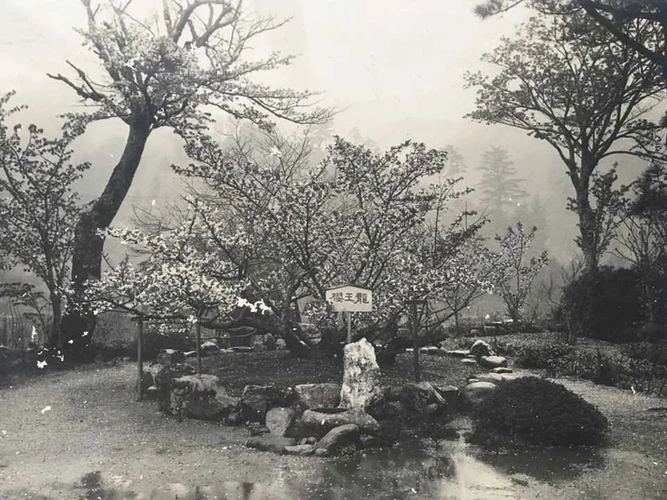 長徳寺 樹木葬 