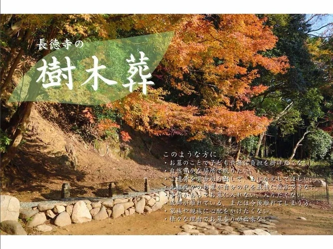  長徳寺 樹木葬