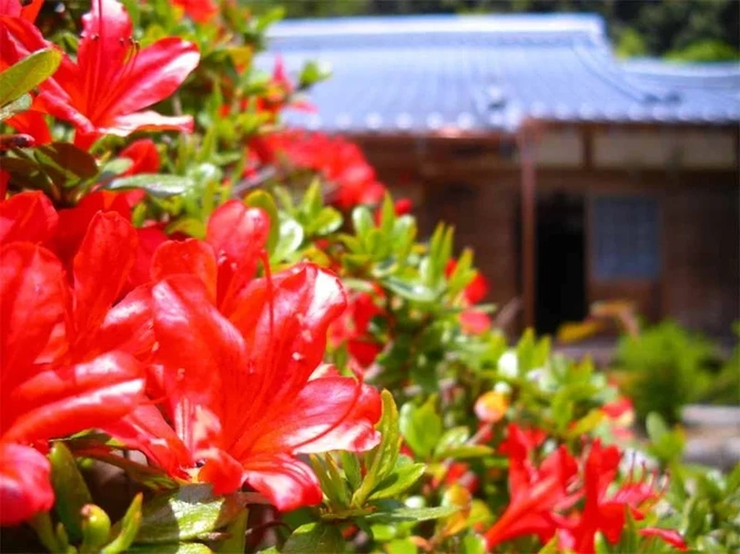  長徳寺 樹木葬