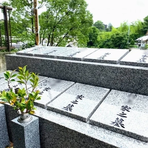  天真寺 個別永代供養・樹木葬