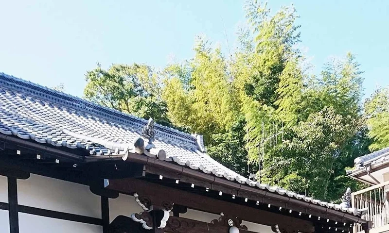 鳥羽市 天真寺 個別永代供養・樹木葬