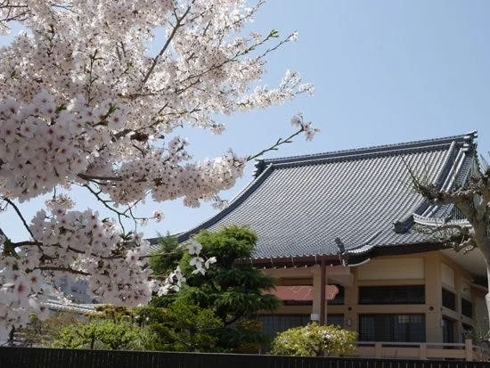 信光寺 永代供養塔 