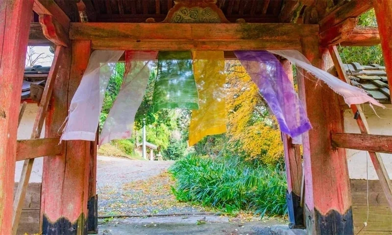 金剛座寺　山門