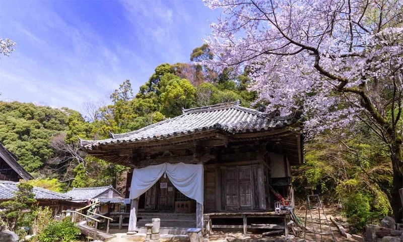 偲墓 金剛座寺 